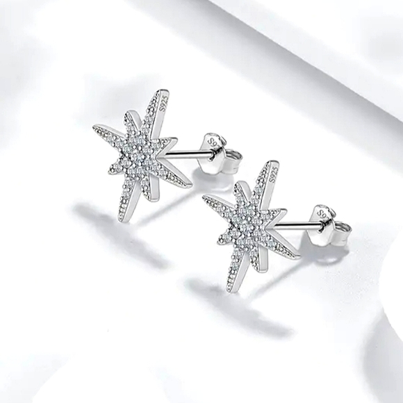 .2cttw Moissanite "Northern Star" ⭐ Studded Earrings - Picture 3 of 4